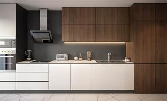 Modern European style kitchen with white slab base cabinets and wood tall cabinets