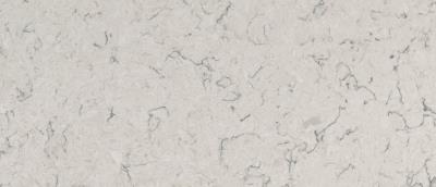 Carrara Mist