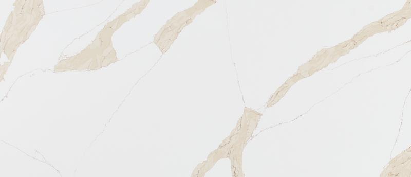 Calacatta Leon Gold