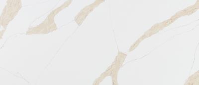 Calacatta Leon Gold