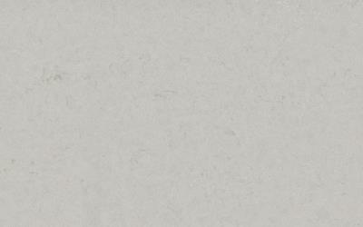 Motion grey