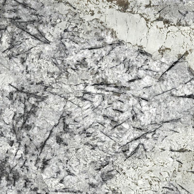 Delicatus ice
