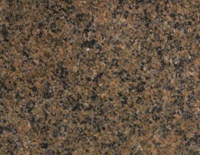 Tropic Brown