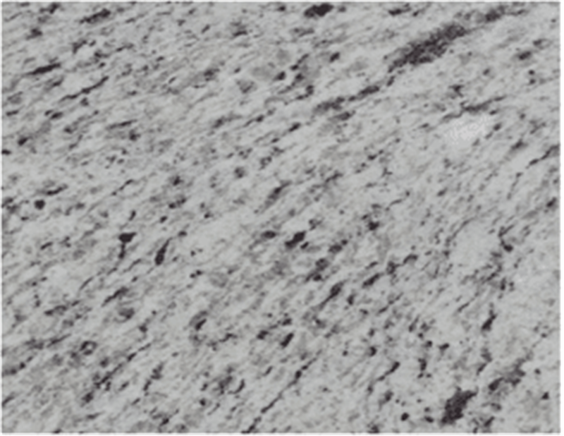 Dullies White II