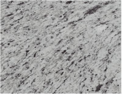 Dullies White II