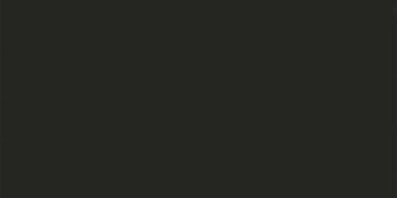 Absolute Black